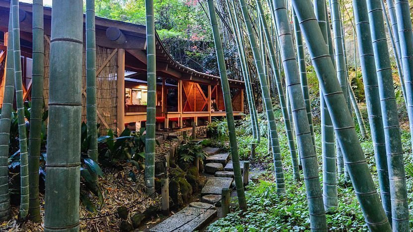 ⛩️ 호코쿠 신사(호코쿠 진자) 이미지 10